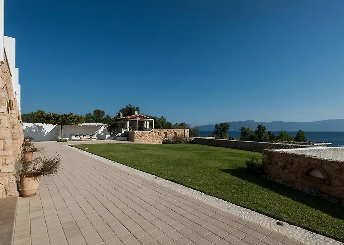 Amelia Collection Arkitsa